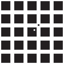 Black Squares Grid
